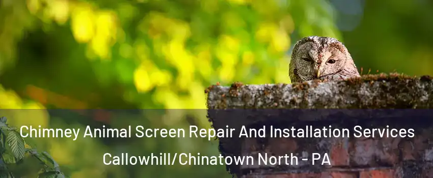 Chimney Animal Screen Repair And Installation Services Callowhill/Chinatown North - PA