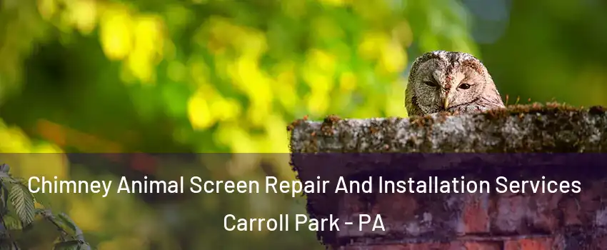 Chimney Animal Screen Repair And Installation Services Carroll Park - PA