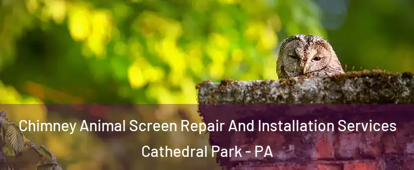 Chimney Animal Screen Repair And Installation Services Cathedral Park - PA