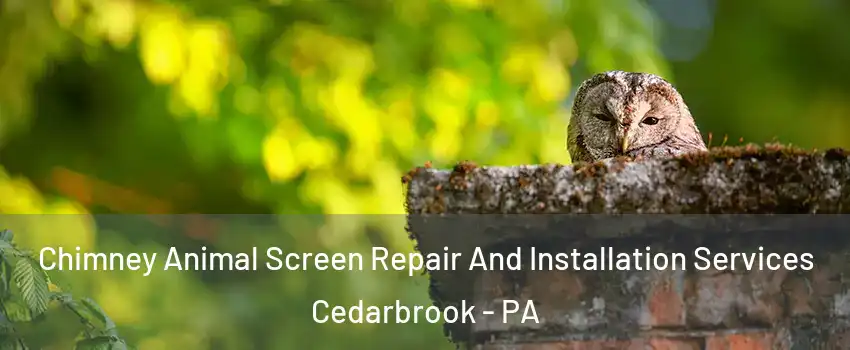 Chimney Animal Screen Repair And Installation Services Cedarbrook - PA