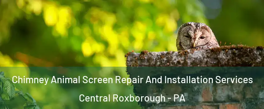 Chimney Animal Screen Repair And Installation Services Central Roxborough - PA