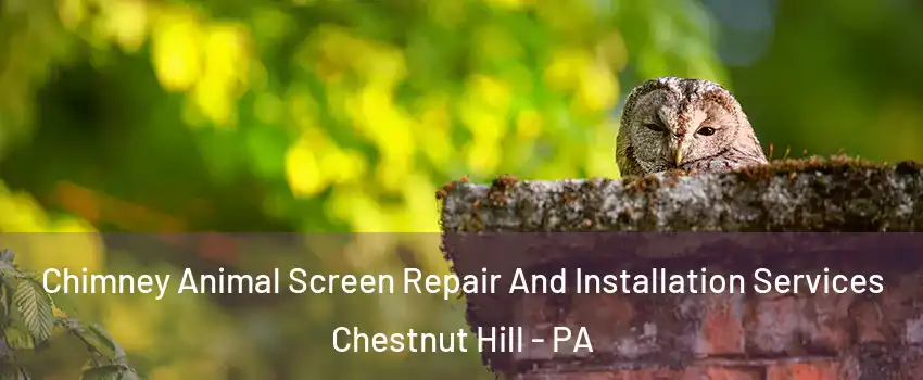 Chimney Animal Screen Repair And Installation Services Chestnut Hill - PA