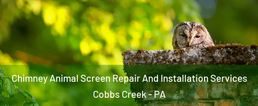 Chimney Animal Screen Repair And Installation Services Cobbs Creek - PA