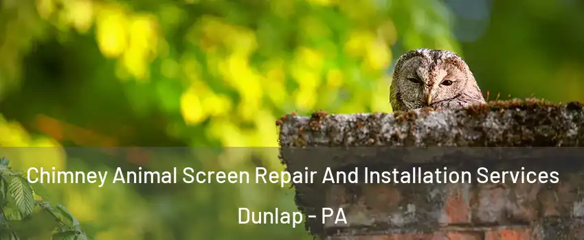 Chimney Animal Screen Repair And Installation Services Dunlap - PA