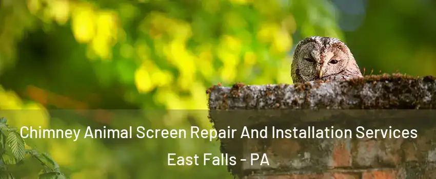 Chimney Animal Screen Repair And Installation Services East Falls - PA