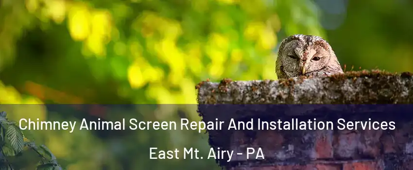 Chimney Animal Screen Repair And Installation Services East Mt. Airy - PA