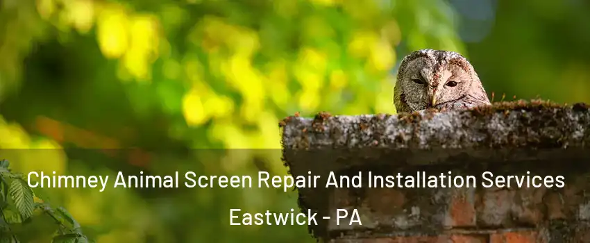 Chimney Animal Screen Repair And Installation Services Eastwick - PA