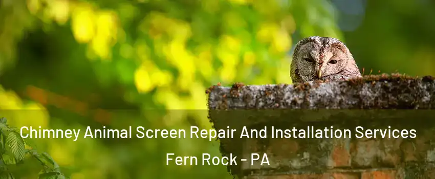 Chimney Animal Screen Repair And Installation Services Fern Rock - PA