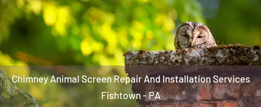 Chimney Animal Screen Repair And Installation Services Fishtown - PA