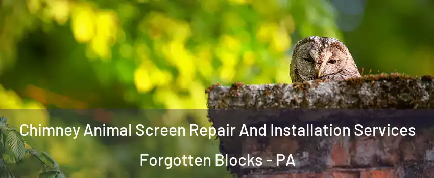 Chimney Animal Screen Repair And Installation Services Forgotten Blocks - PA