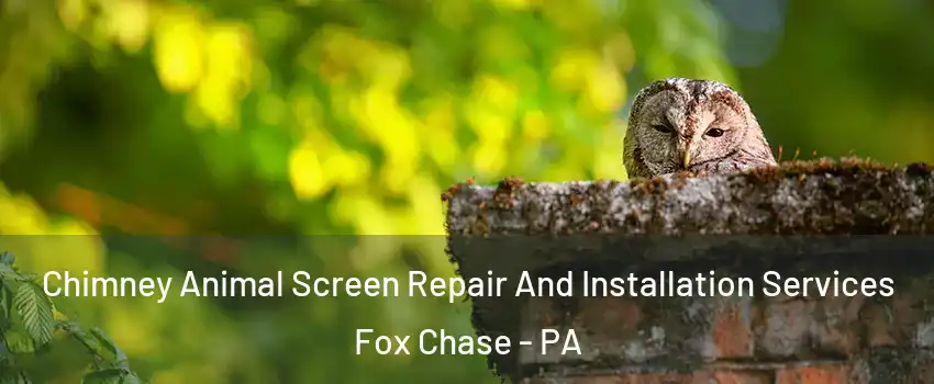 Chimney Animal Screen Repair And Installation Services Fox Chase - PA