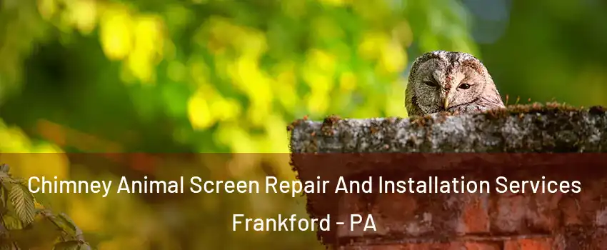 Chimney Animal Screen Repair And Installation Services Frankford - PA