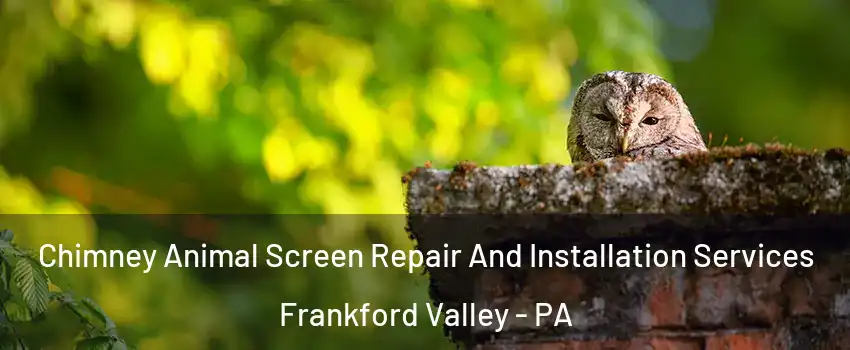 Chimney Animal Screen Repair And Installation Services Frankford Valley - PA
