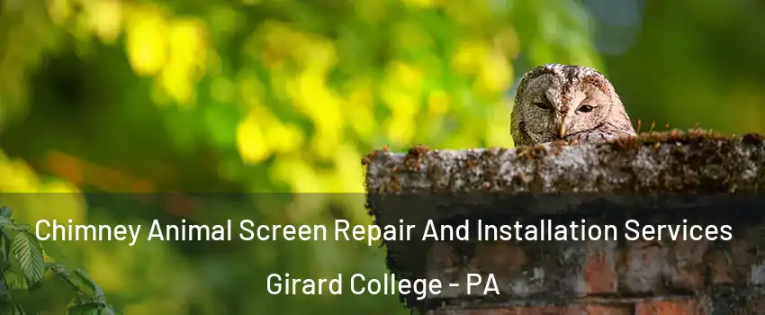 Chimney Animal Screen Repair And Installation Services Girard College - PA