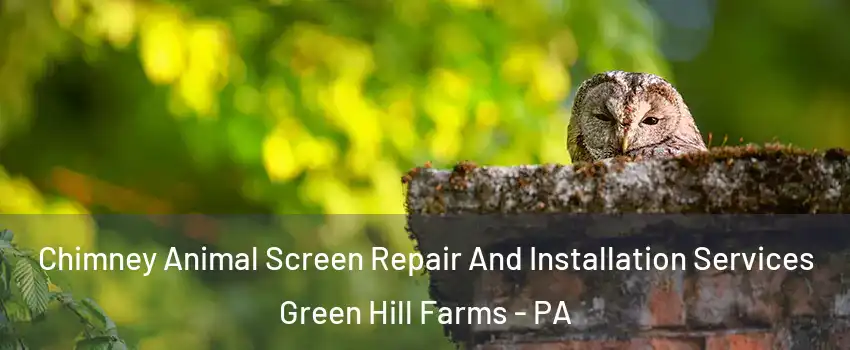 Chimney Animal Screen Repair And Installation Services Green Hill Farms - PA