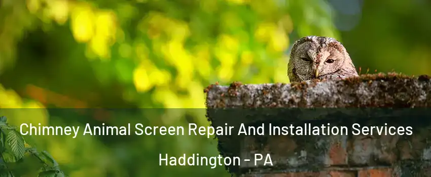 Chimney Animal Screen Repair And Installation Services Haddington - PA