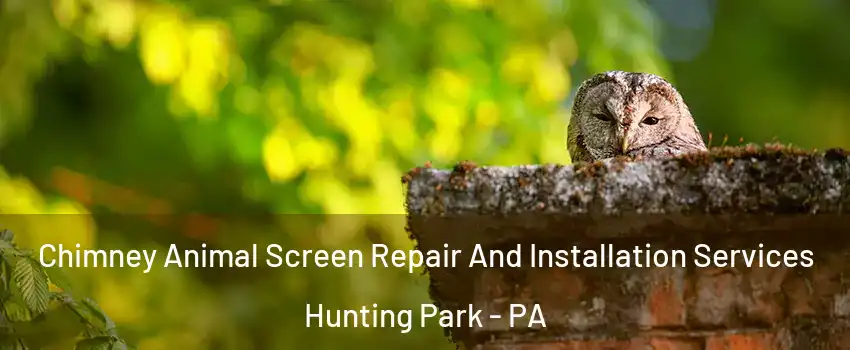 Chimney Animal Screen Repair And Installation Services Hunting Park - PA