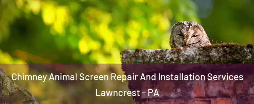 Chimney Animal Screen Repair And Installation Services Lawncrest - PA