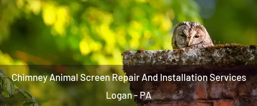 Chimney Animal Screen Repair And Installation Services Logan - PA