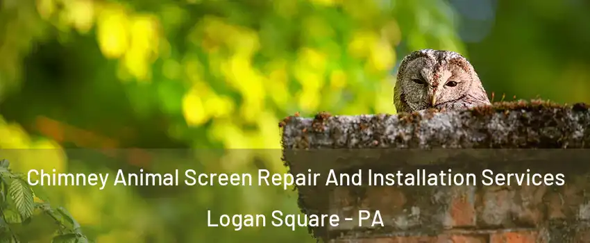Chimney Animal Screen Repair And Installation Services Logan Square - PA