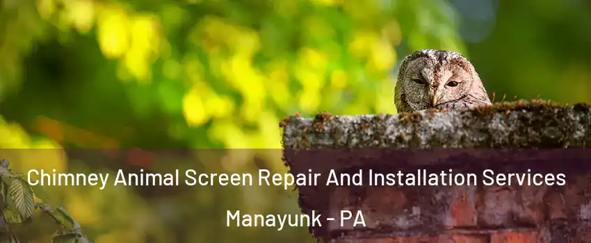 Chimney Animal Screen Repair And Installation Services Manayunk - PA
