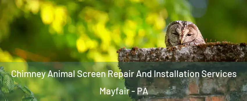 Chimney Animal Screen Repair And Installation Services Mayfair - PA
