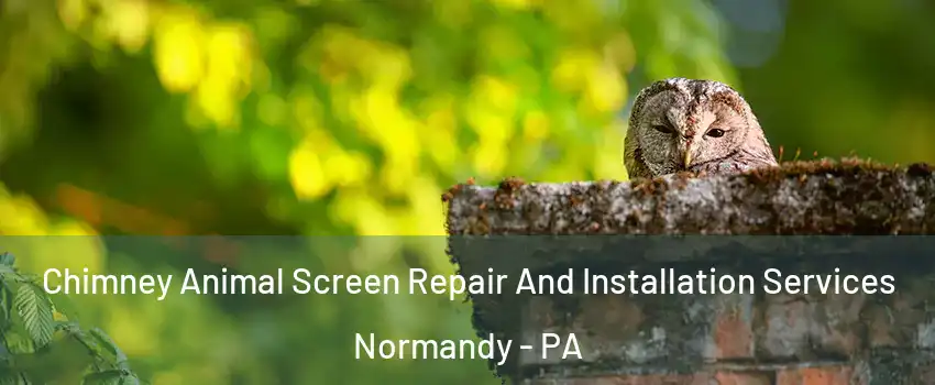 Chimney Animal Screen Repair And Installation Services Normandy - PA