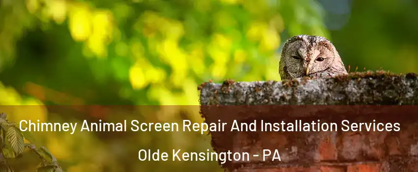 Chimney Animal Screen Repair And Installation Services Olde Kensington - PA