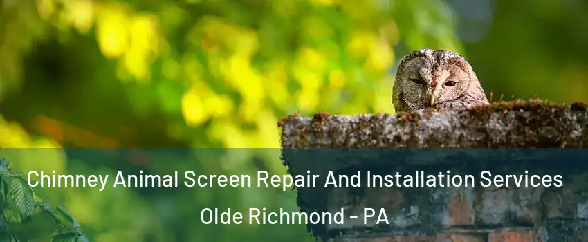 Chimney Animal Screen Repair And Installation Services Olde Richmond - PA