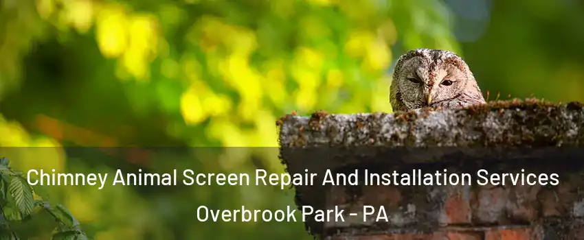 Chimney Animal Screen Repair And Installation Services Overbrook Park - PA
