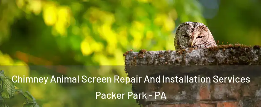 Chimney Animal Screen Repair And Installation Services Packer Park - PA