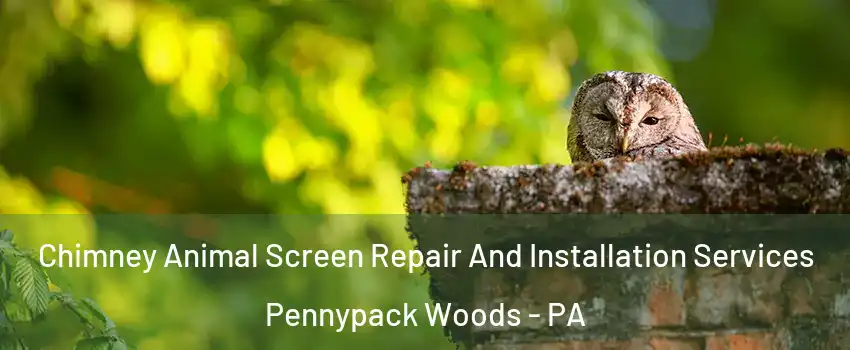 Chimney Animal Screen Repair And Installation Services Pennypack Woods - PA