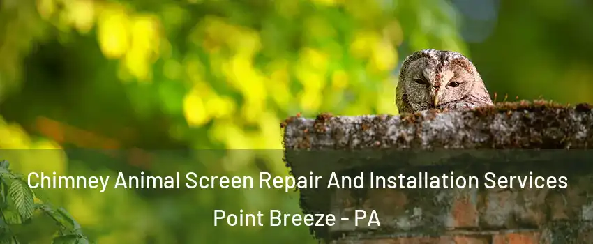 Chimney Animal Screen Repair And Installation Services Point Breeze - PA