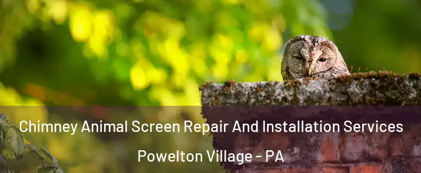Chimney Animal Screen Repair And Installation Services Powelton Village - PA