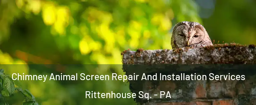 Chimney Animal Screen Repair And Installation Services Rittenhouse Sq. - PA