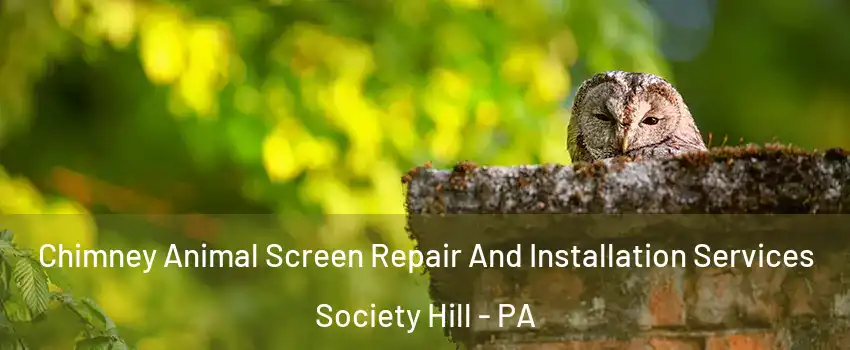 Chimney Animal Screen Repair And Installation Services Society Hill - PA