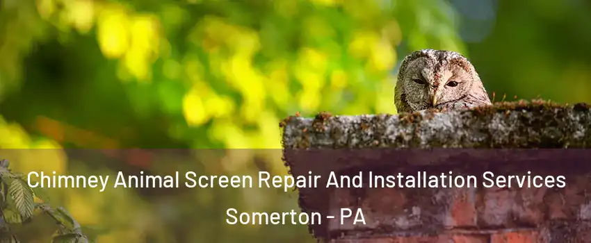 Chimney Animal Screen Repair And Installation Services Somerton - PA