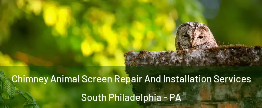 Chimney Animal Screen Repair And Installation Services South Philadelphia - PA