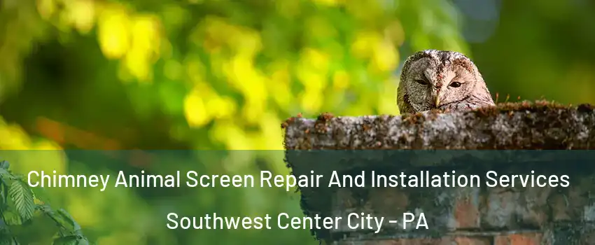 Chimney Animal Screen Repair And Installation Services Southwest Center City - PA