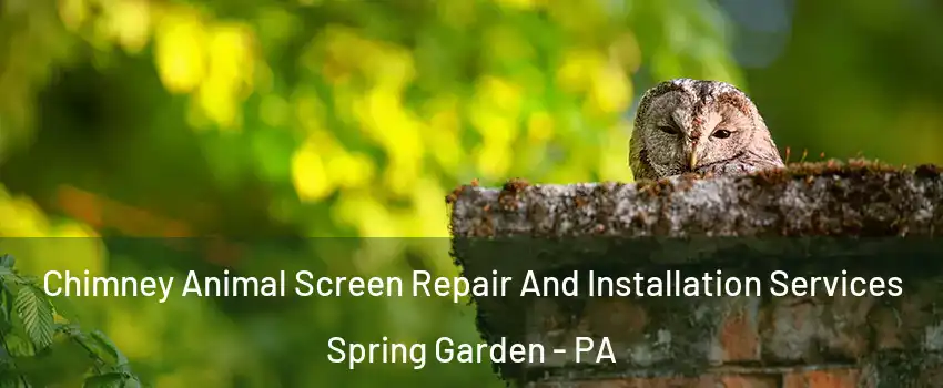 Chimney Animal Screen Repair And Installation Services Spring Garden - PA