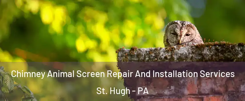 Chimney Animal Screen Repair And Installation Services St. Hugh - PA