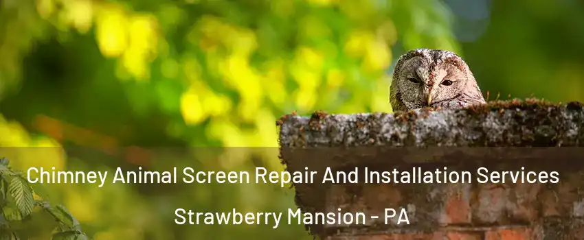 Chimney Animal Screen Repair And Installation Services Strawberry Mansion - PA