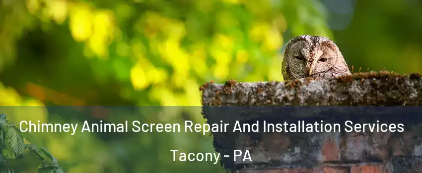 Chimney Animal Screen Repair And Installation Services Tacony - PA
