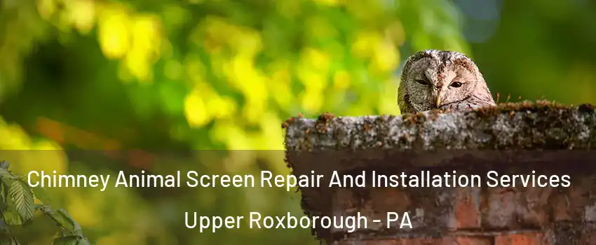 Chimney Animal Screen Repair And Installation Services Upper Roxborough - PA