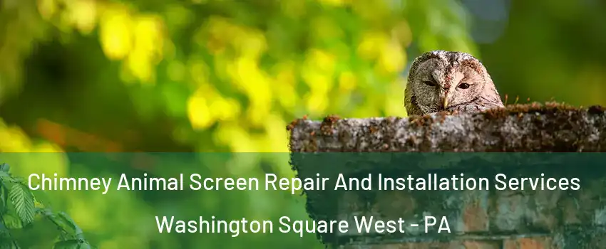 Chimney Animal Screen Repair And Installation Services Washington Square West - PA