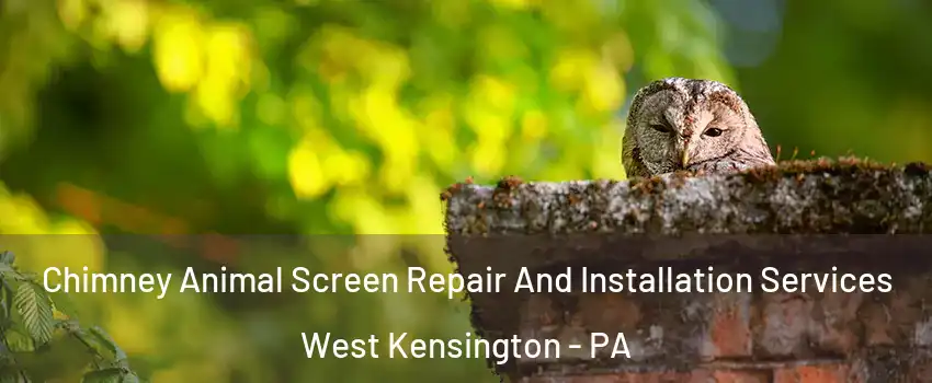 Chimney Animal Screen Repair And Installation Services West Kensington - PA