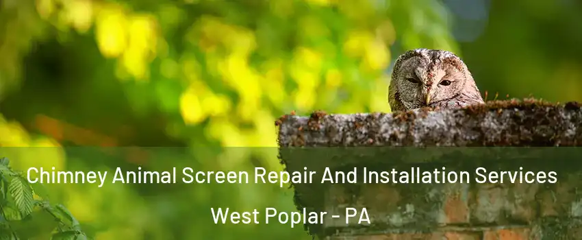 Chimney Animal Screen Repair And Installation Services West Poplar - PA