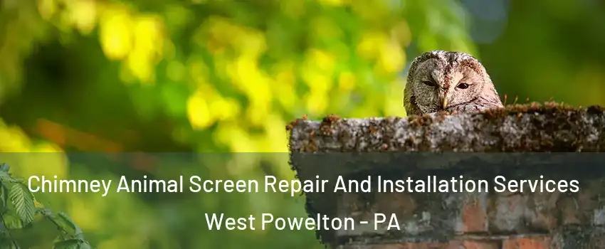 Chimney Animal Screen Repair And Installation Services West Powelton - PA