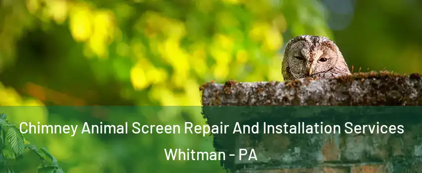 Chimney Animal Screen Repair And Installation Services Whitman - PA