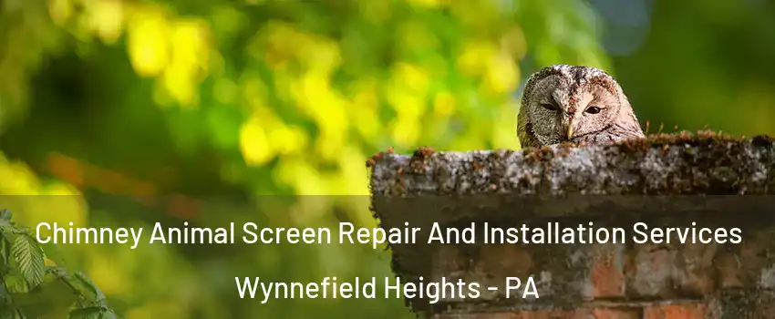 Chimney Animal Screen Repair And Installation Services Wynnefield Heights - PA